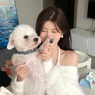 网路杀手